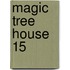 Magic Tree House 15