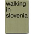 Walking in Slovenia