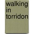 Walking in Torridon