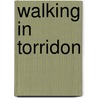 Walking in Torridon door Peter Barton