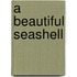 A Beautiful Seashell