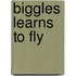 Biggles Learns to Fly