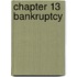 Chapter 13 Bankruptcy