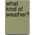 What Kind of Weather?