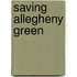 Saving Allegheny Green