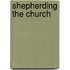 Shepherding the Church