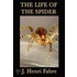 The Life of the Spider