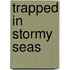 Trapped in Stormy Seas