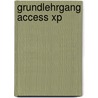 Grundlehrgang Access Xp door Uwe Schmidt