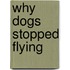 Why Dogs Stopped Flying