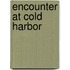 Encounter at Cold Harbor