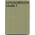 Schulpraktische Studie 1