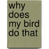 Why Does My Bird Do That