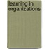 Learning in Organizations
