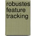 Robustes Feature Tracking