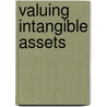 Valuing Intangible Assets door Robert P. Schweihs