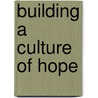 Building a Culture of Hope door Gibson Emily L.