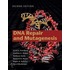 Dna Repair and Mutagenesis