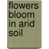 Flowers Bloom in Arid Soil