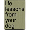 Life Lessons from Your Dog door Anthony Rubino Jr