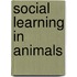 Social Learning in Animals