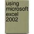 Using Microsoft Excel 2002