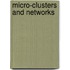 Micro-Clusters And Networks