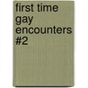 First Time Gay Encounters #2 door K. Windsor