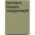 Hermann Hesses 'steppenwolf'