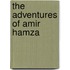 The Adventures of Amir Hamza