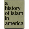 A History of Islam in America door Kambiz Ghaneabassiri