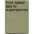 From Naked Ape to Superspecies
