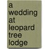 A Wedding at Leopard Tree Lodge