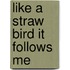 Like a Straw Bird It Follows Me