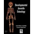 Developmental Juvenile Osteology