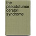 The Pseudotumor Cerebri Syndrome
