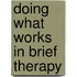 Doing What Works in Brief Therapy