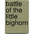 Battle of the Little Bighorn