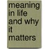 Meaning in Life and Why It Matters