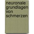 Neuronale Grundlagen Von Schmerzen