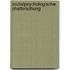 Sozialpsychologische Chatforschung