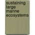 Sustaining Large Marine Ecosystems