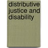 Distributive Justice and Disability door Mark S. Stein