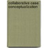 Collaborative Case Conceptualization