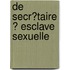 De Secr�Taire � Esclave Sexuelle