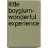 Little Boygium- Wonderful Experience