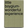 Little Boygium- Wonderful Experience door Joel Savage