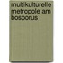 Multikulturelle Metropole Am Bosporus