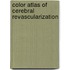Color Atlas of Cerebral Revascularization