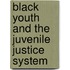 Black Youth and the Juvenile Justice System